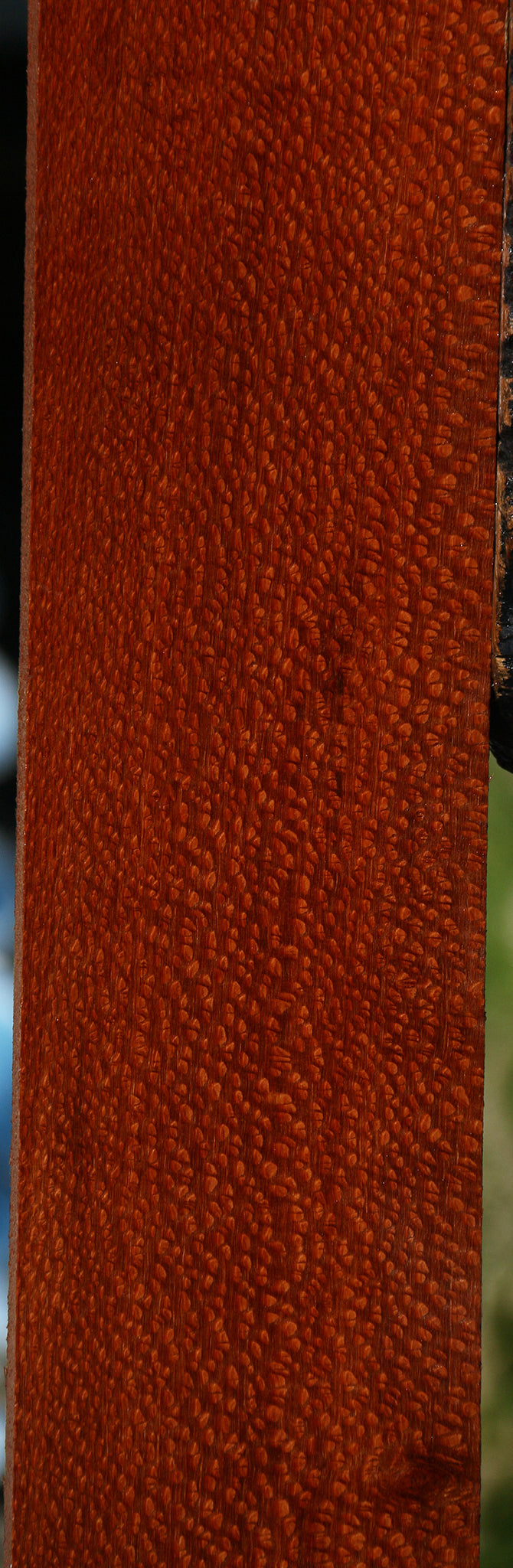 Extra Fancy Leopardwood Lumber