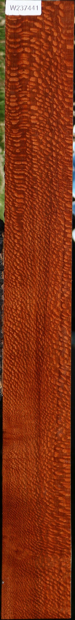 Extra Fancy Leopardwood Lumber