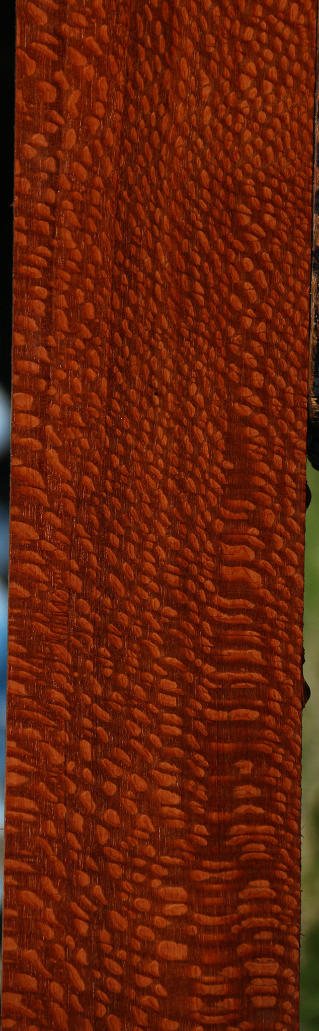 Extra Fancy Leopardwood Lumber