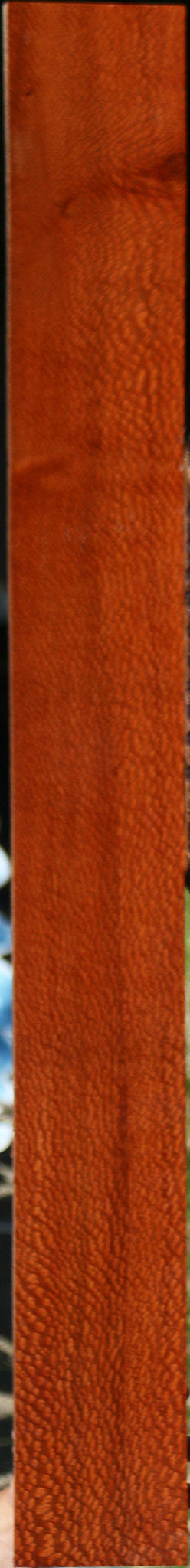 Extra Fancy Leopardwood Lumber