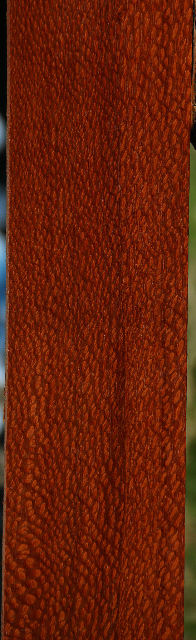 Extra Fancy Leopardwood Lumber