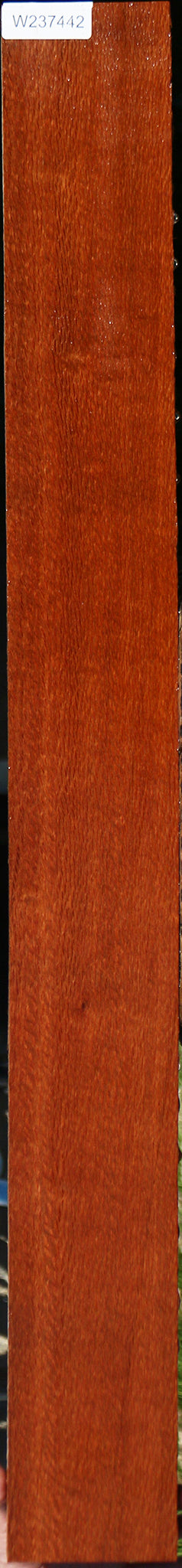 Leopardwood Lumber
