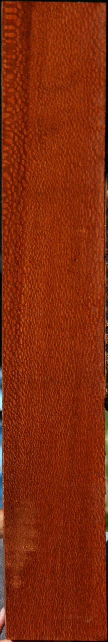 Extra Fancy Leopardwood Lumber