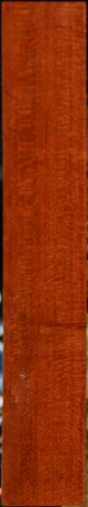 Extra Fancy Leopardwood Lumber