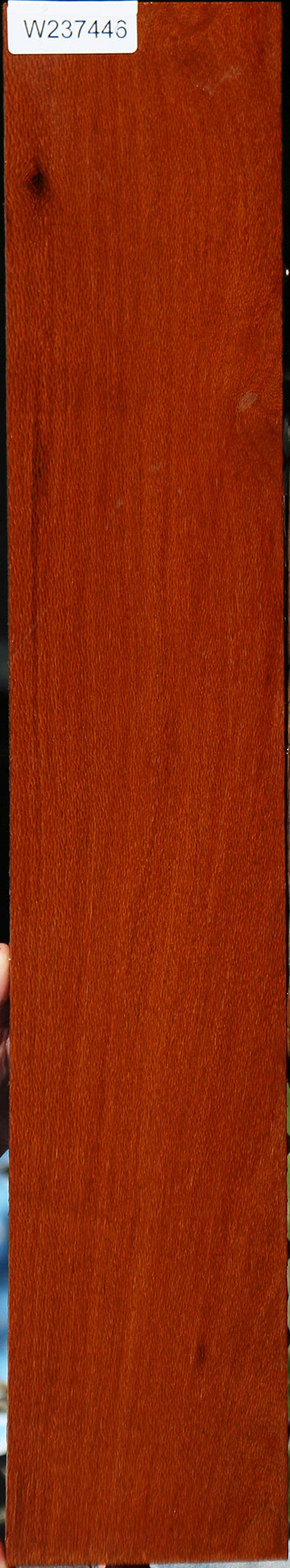 Leopardwood Lumber