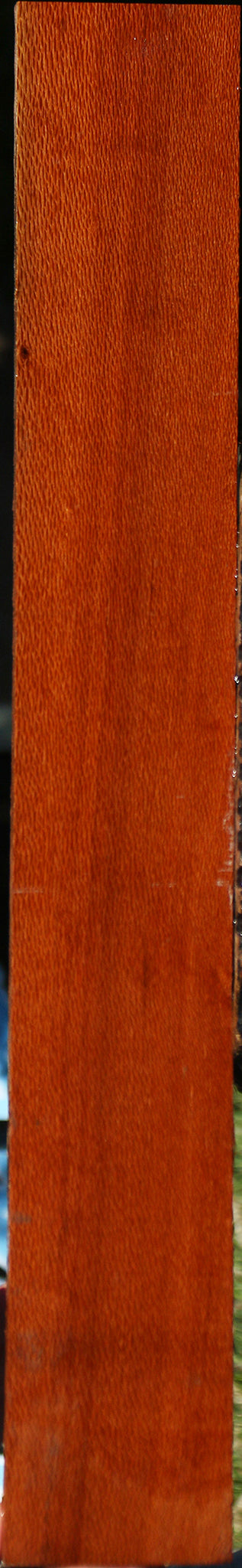 Leopardwood Lumber