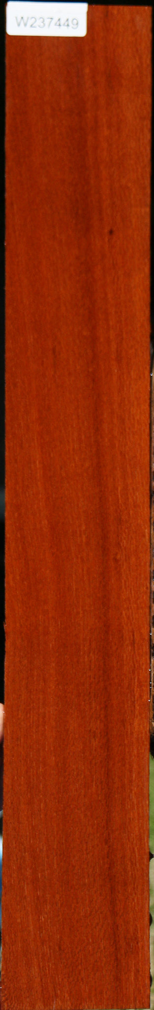 Leopardwood Lumber
