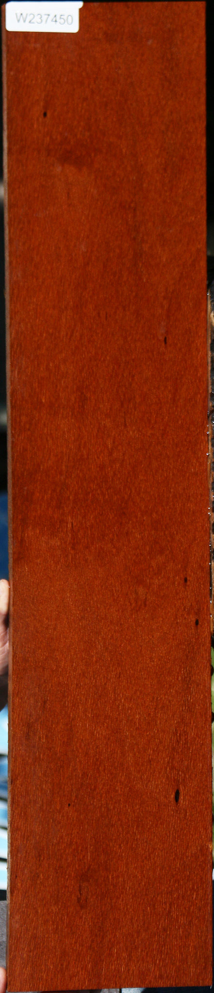 Leopardwood Lumber