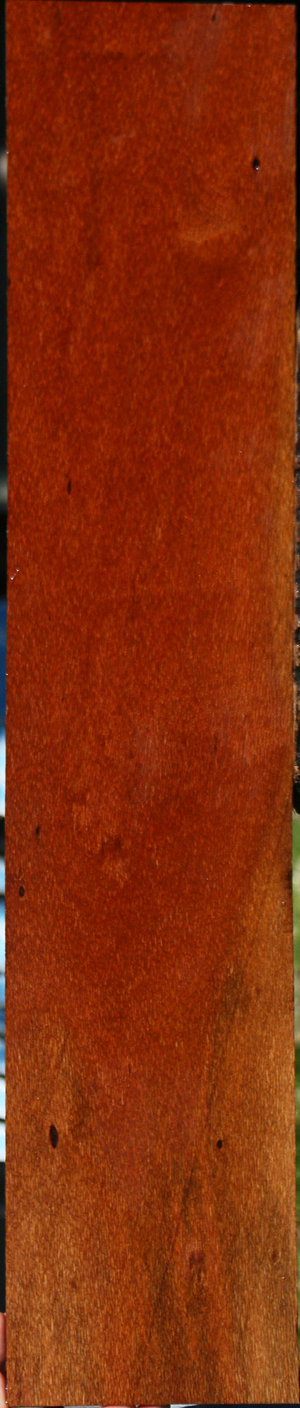 Leopardwood Lumber