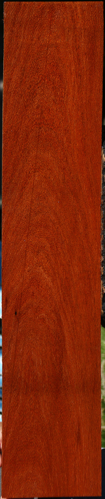 Leopardwood Lumber