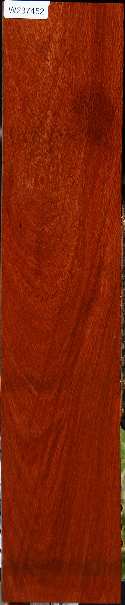 Leopardwood Lumber