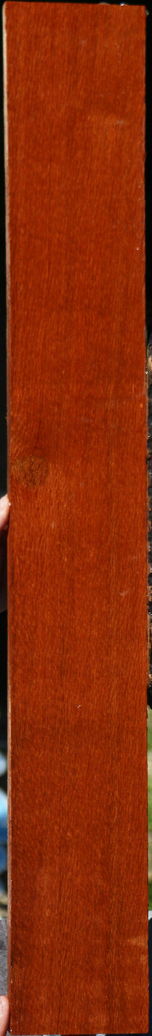 Leopardwood Lumber