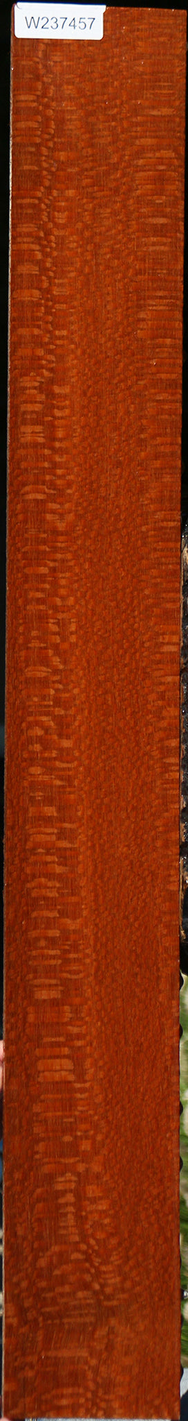 Extra Fancy Leopardwood Lumber