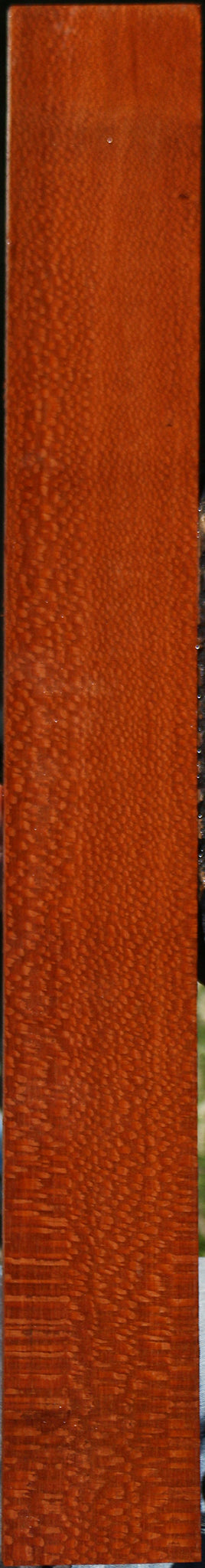 Extra Fancy Leopardwood Lumber