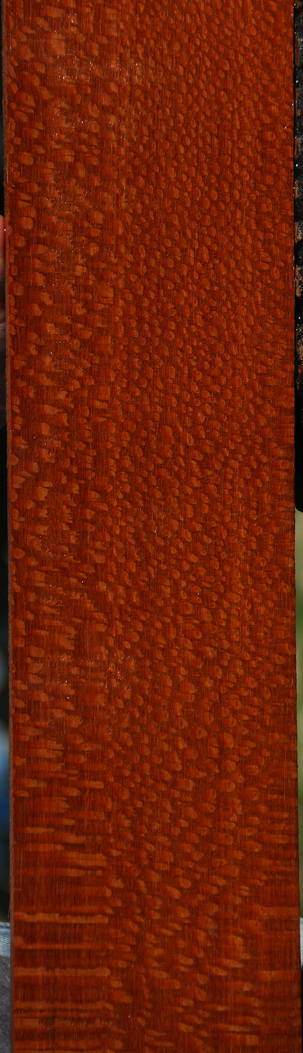 Extra Fancy Leopardwood Lumber