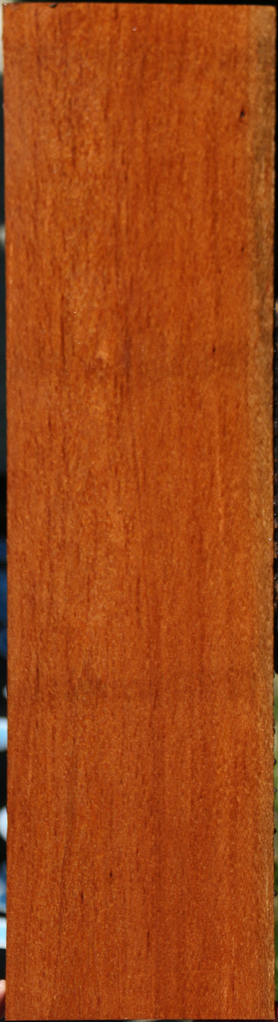 Figured Leopardwood Lumber
