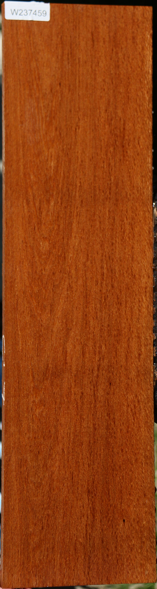 Figured Leopardwood Lumber