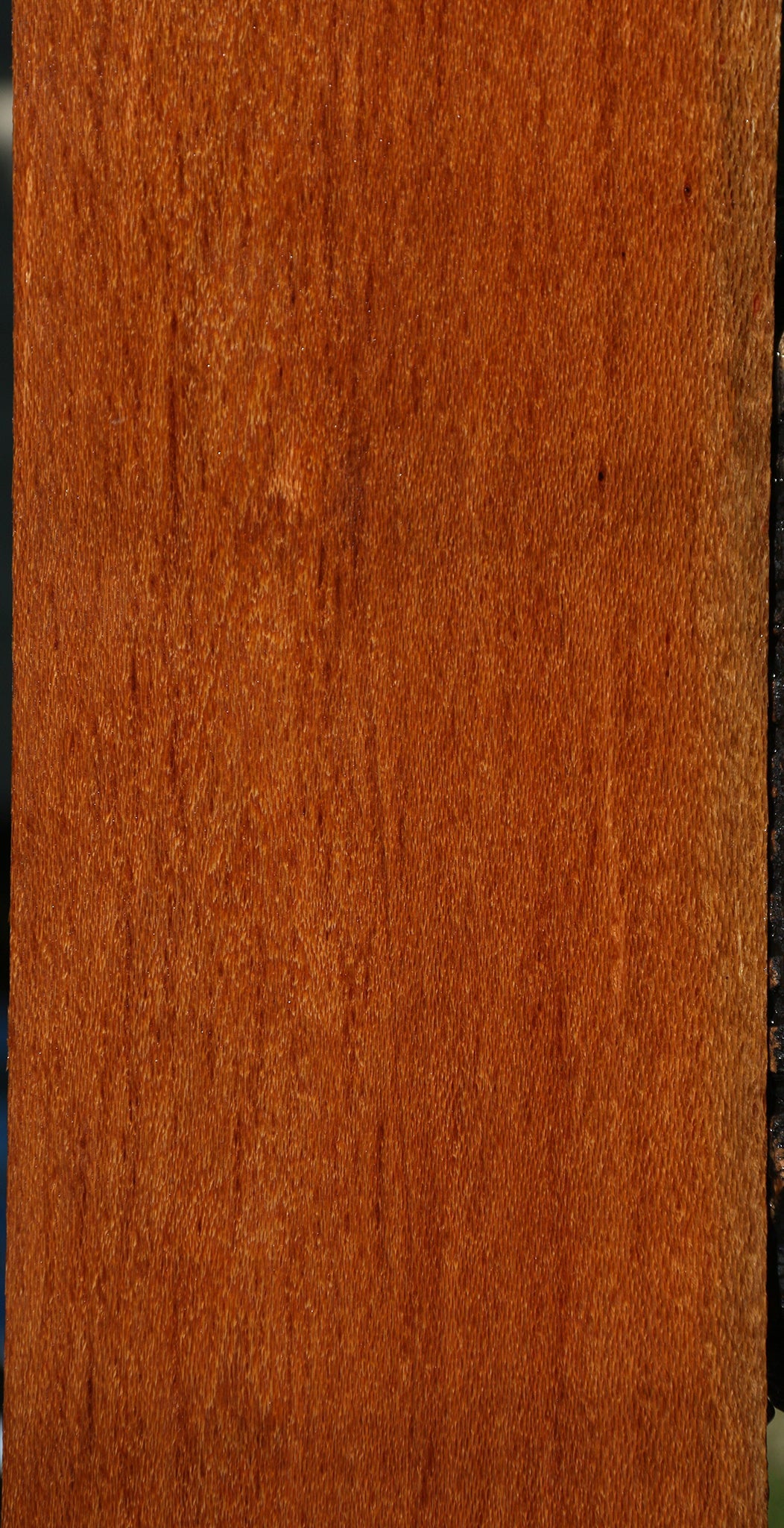 Figured Leopardwood Lumber