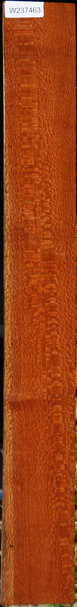 Extra Fancy Leopardwood Lumber