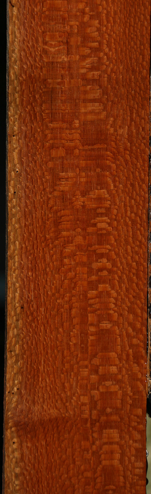 Extra Fancy Leopardwood Lumber