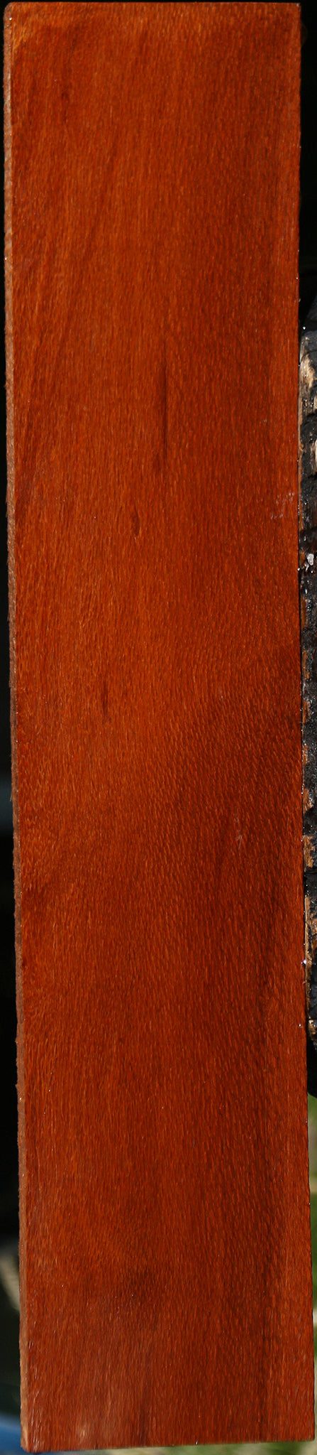 Leopardwood Lumber