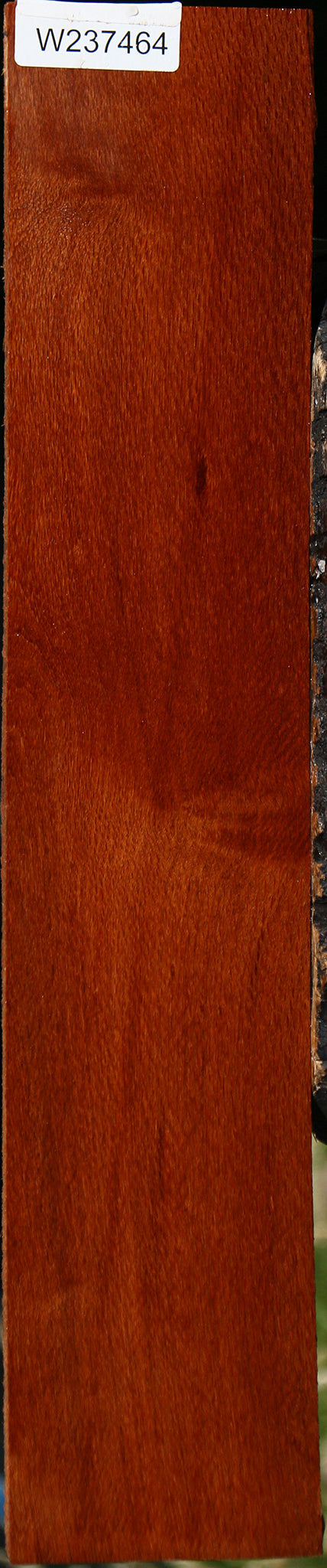 Leopardwood Lumber
