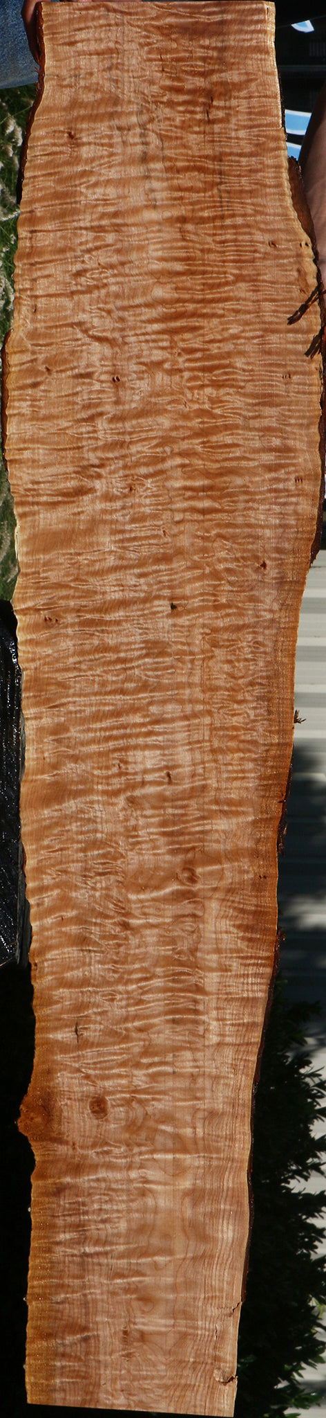 Quilted Maple Live Edge Lumber