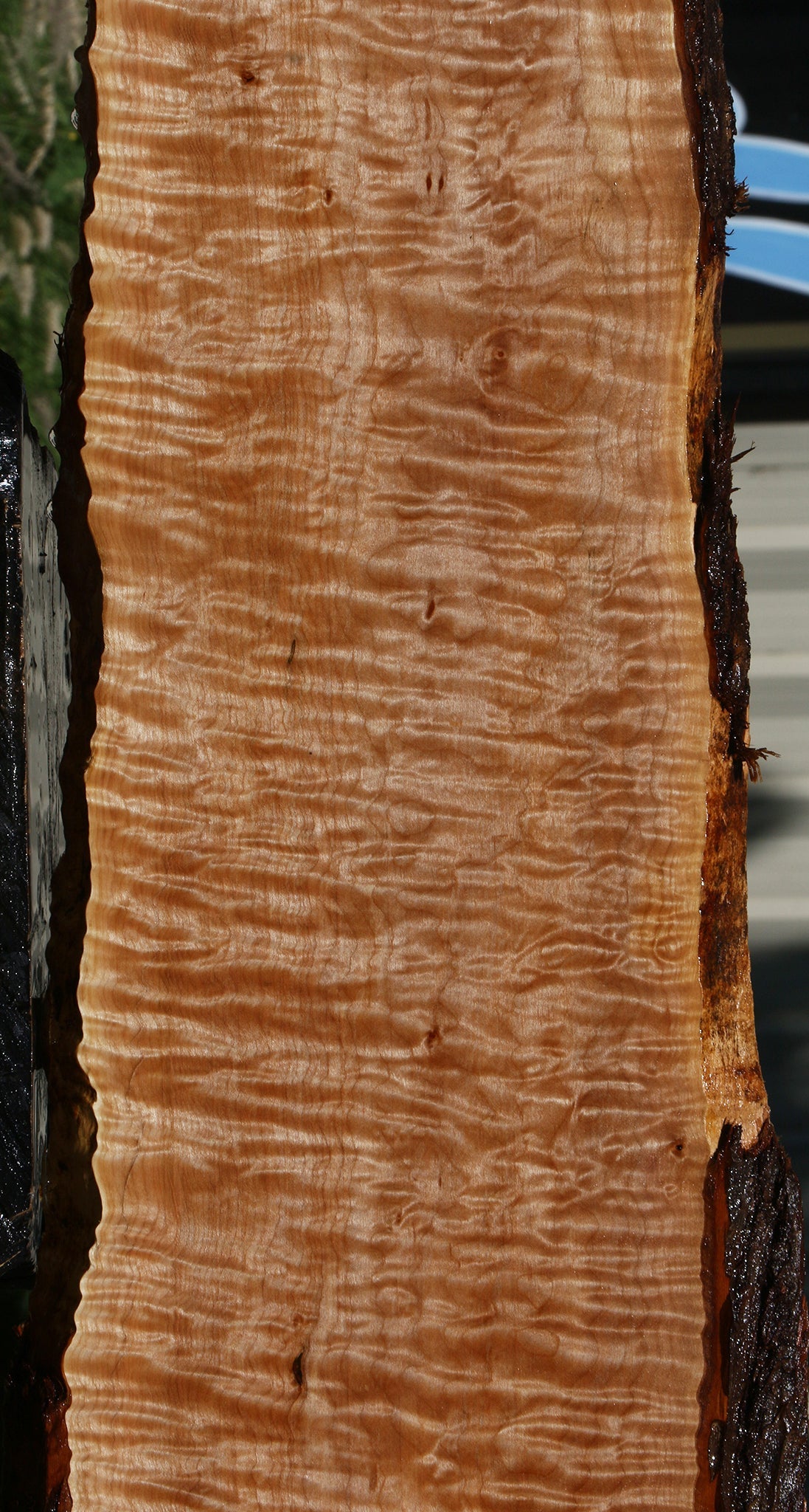 Quilted Maple Live Edge Lumber