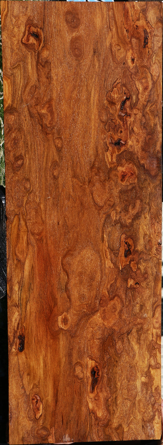 Extra Fancy Red Cumaru Slab