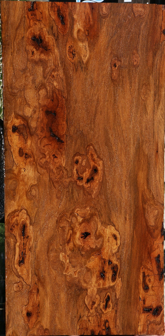 Extra Fancy Red Cumaru Slab