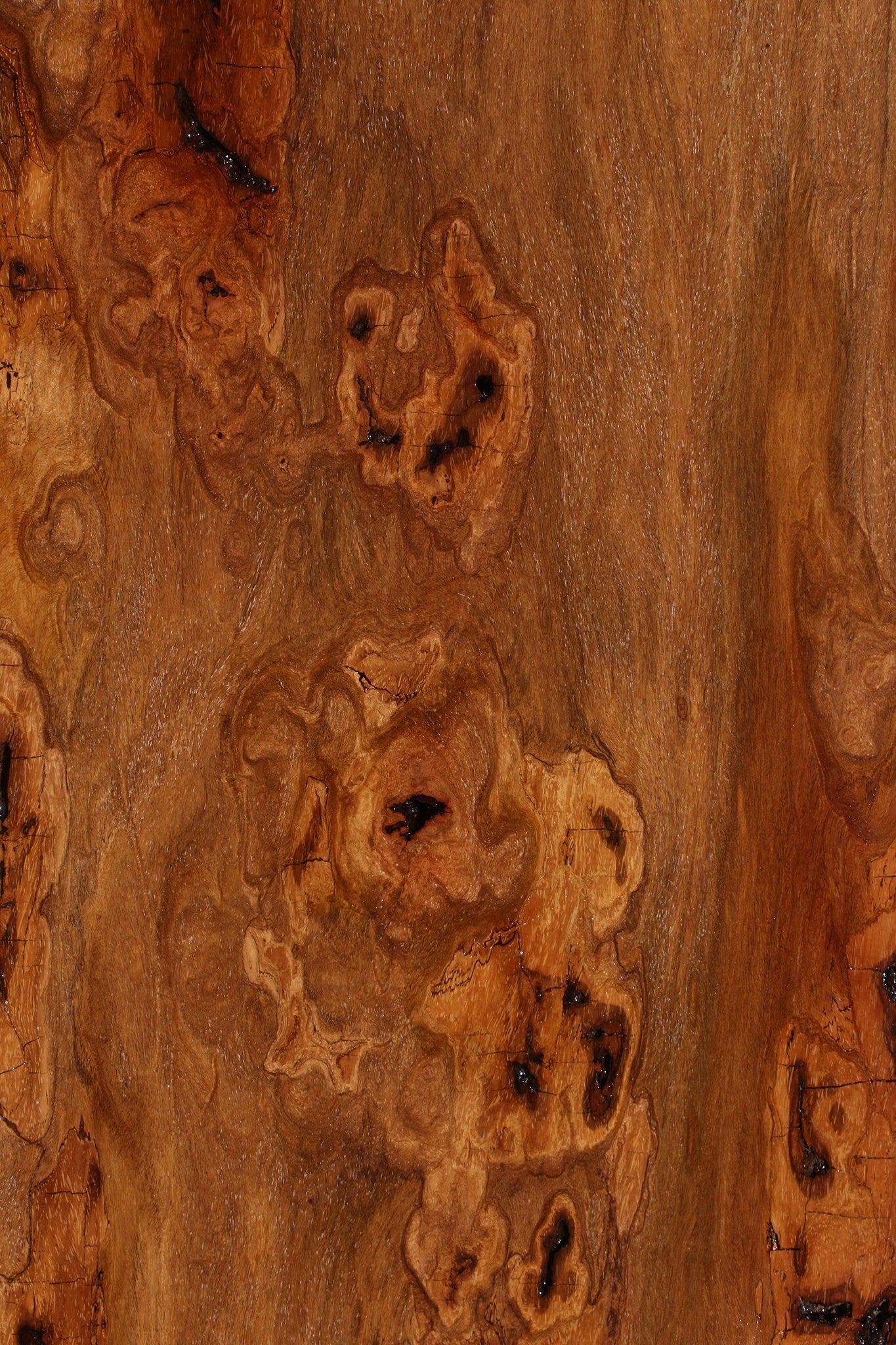 Extra Fancy Red Cumaru Slab