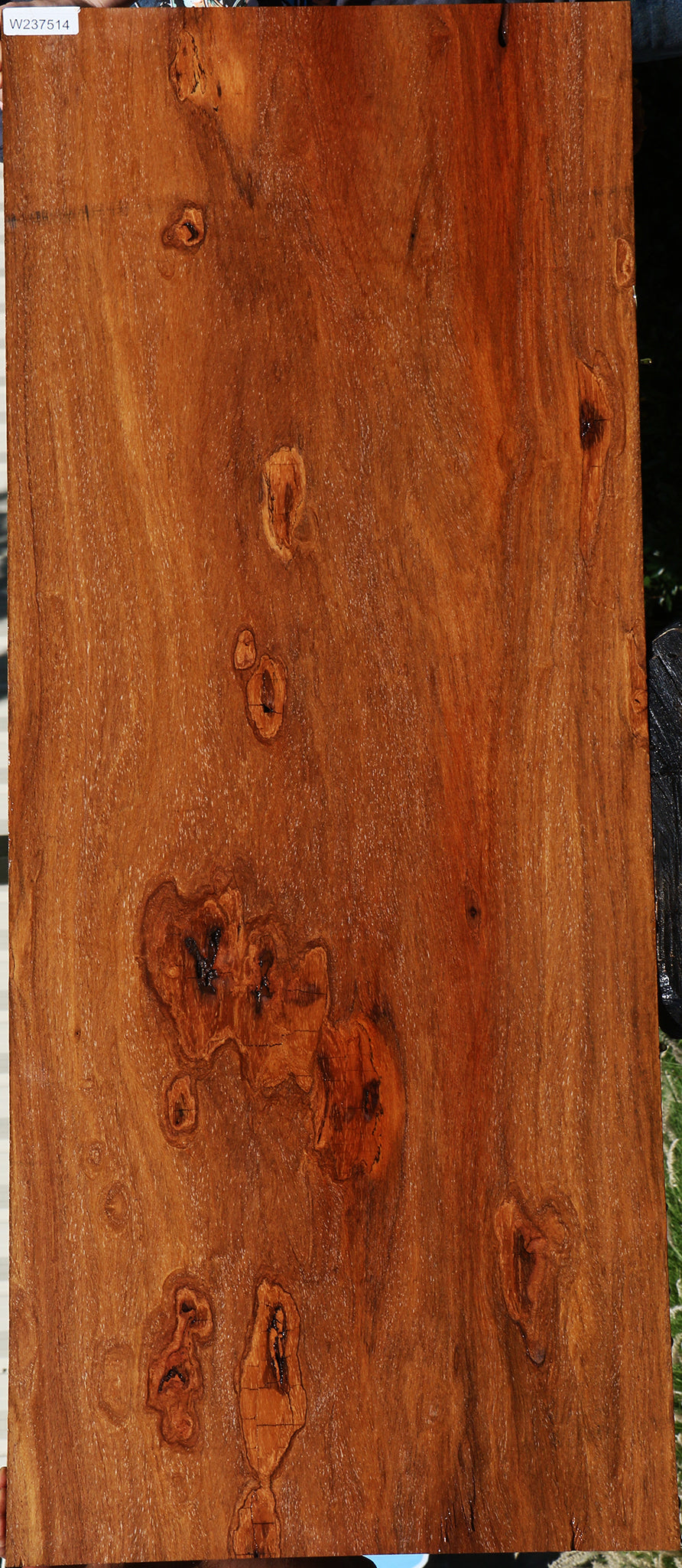 Figured Red Cumaru Slab