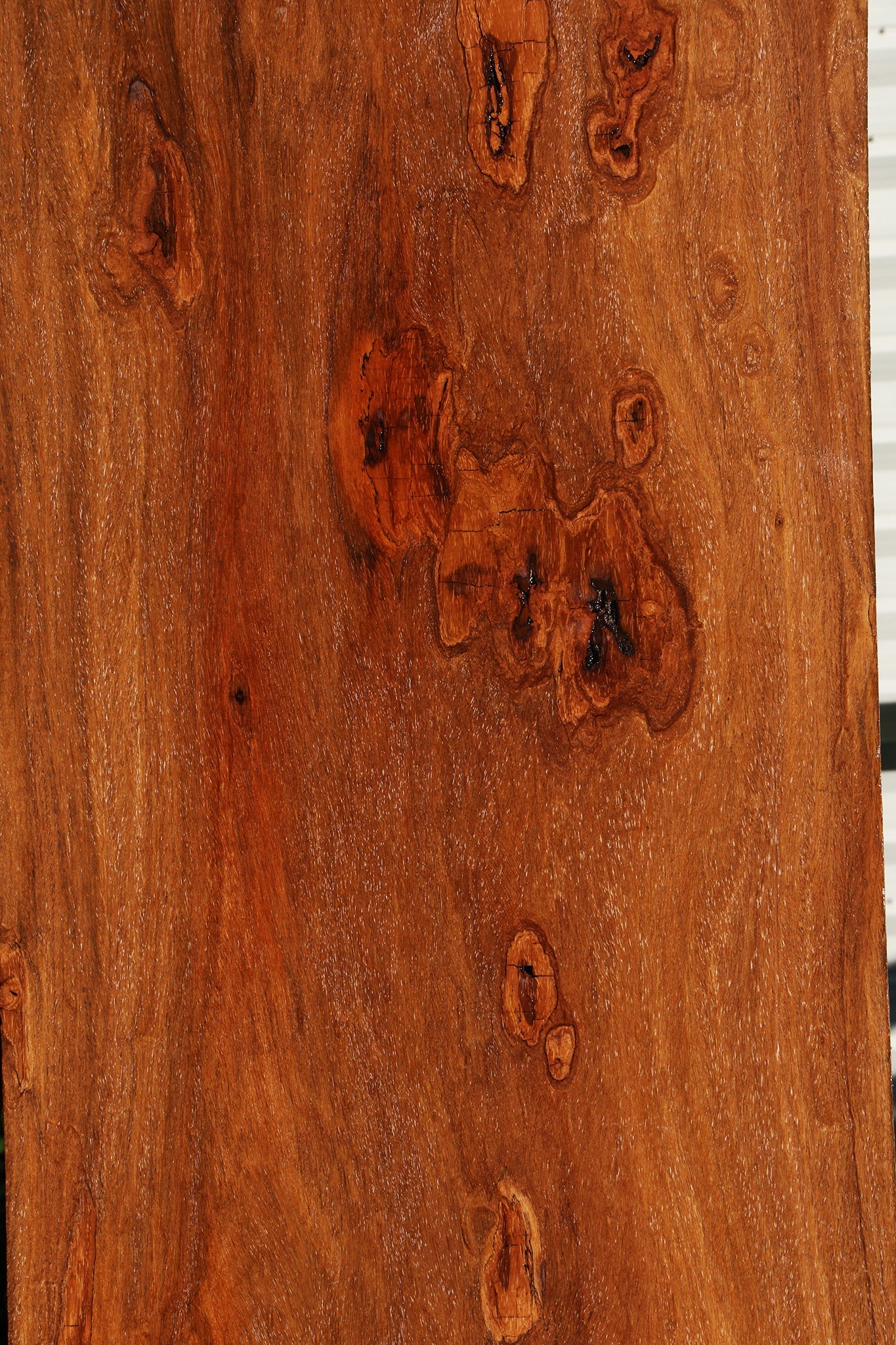 Figured Red Cumaru Slab