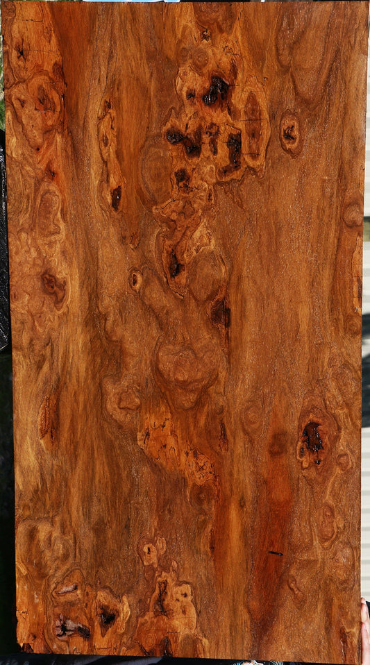 Extra Fancy Red Cumaru Slab