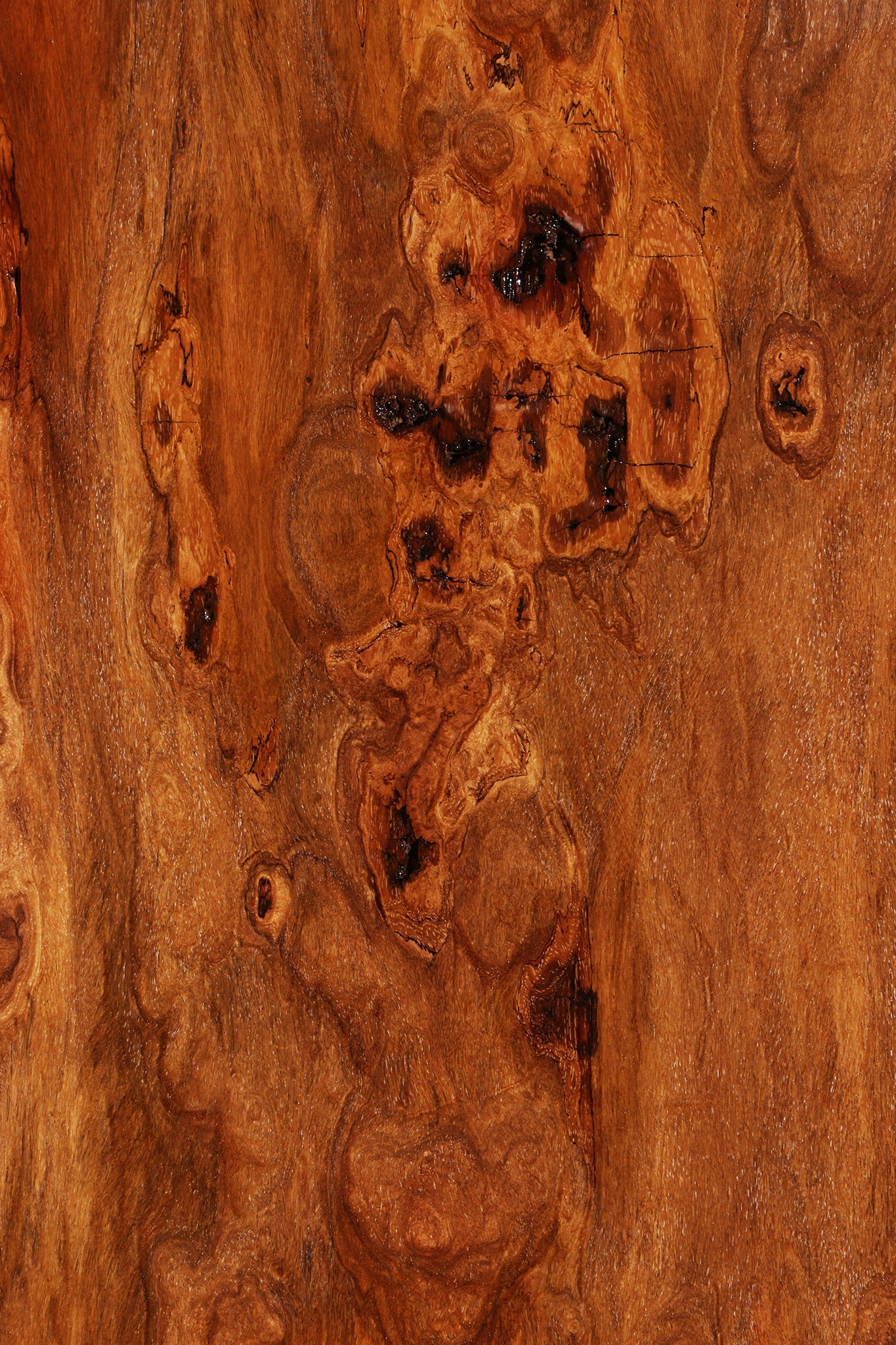 Extra Fancy Red Cumaru Slab