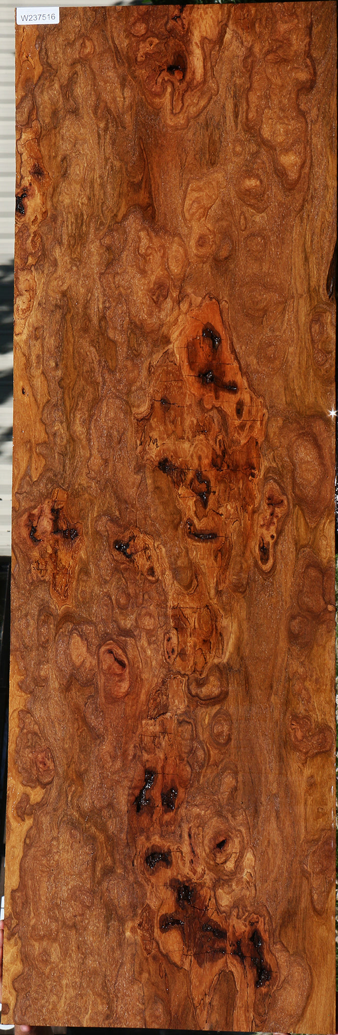 Extra Fancy Rustic Red Cumaru Slab