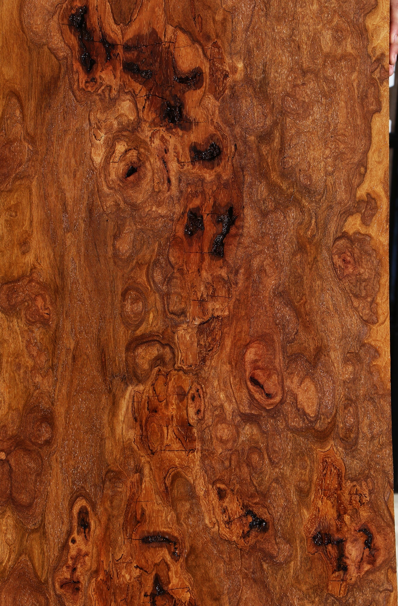 Extra Fancy Rustic Red Cumaru Slab