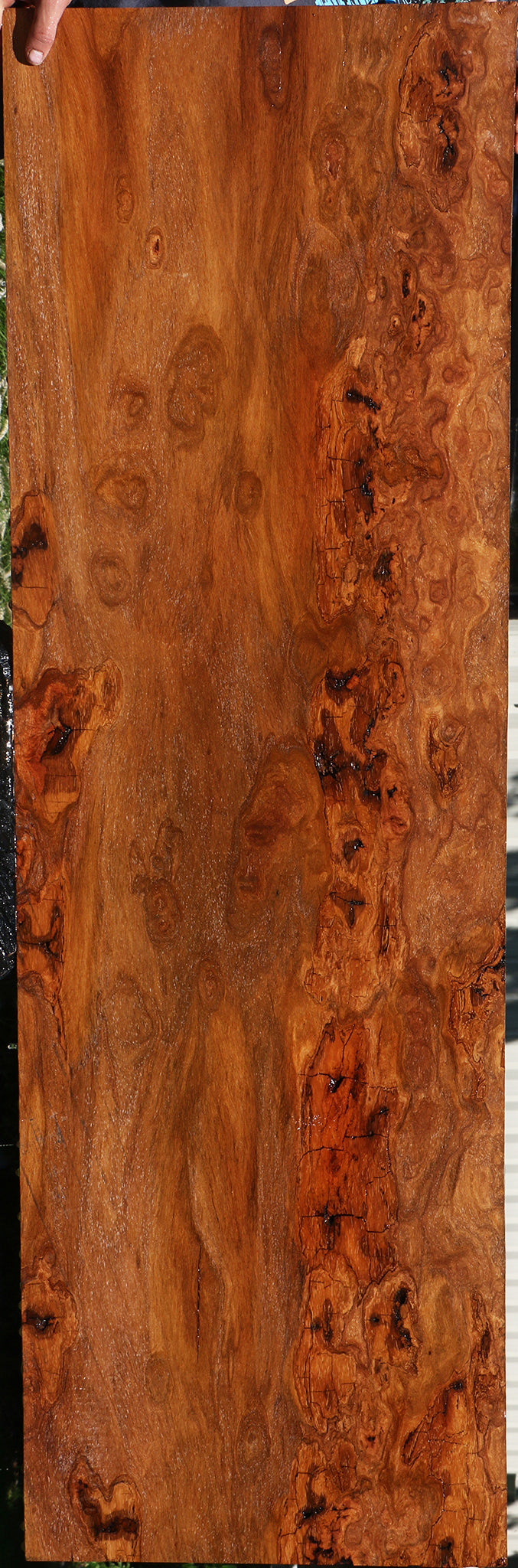 Extra Fancy Rustic Red Cumaru Slab
