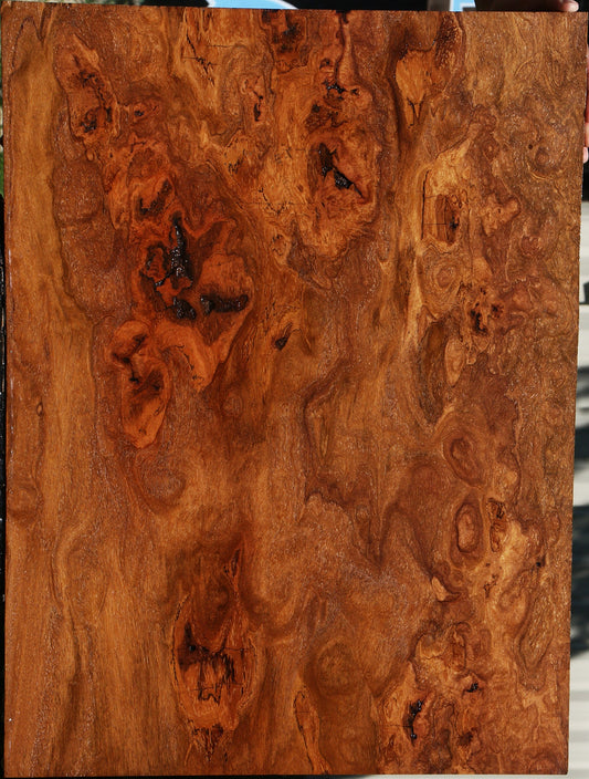 Extra Fancy Rustic Red Cumaru Mini Slab