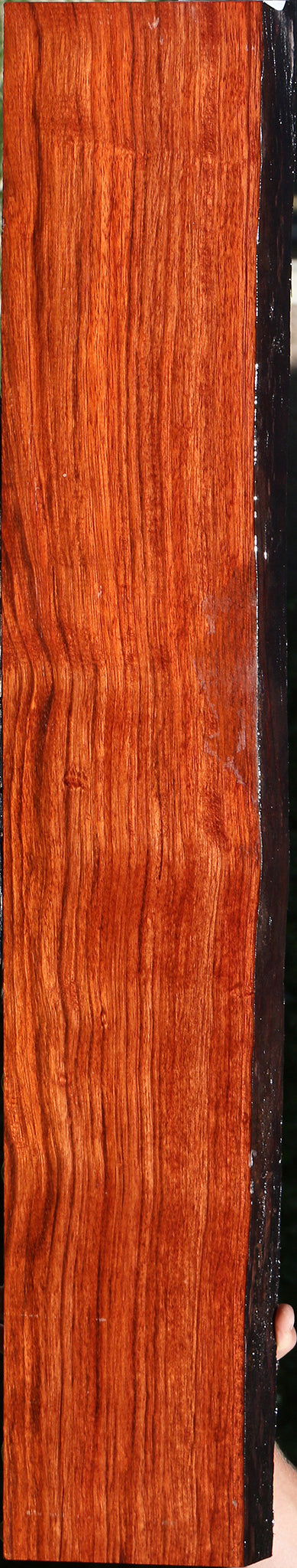 Jatoba Live Edge Lumber