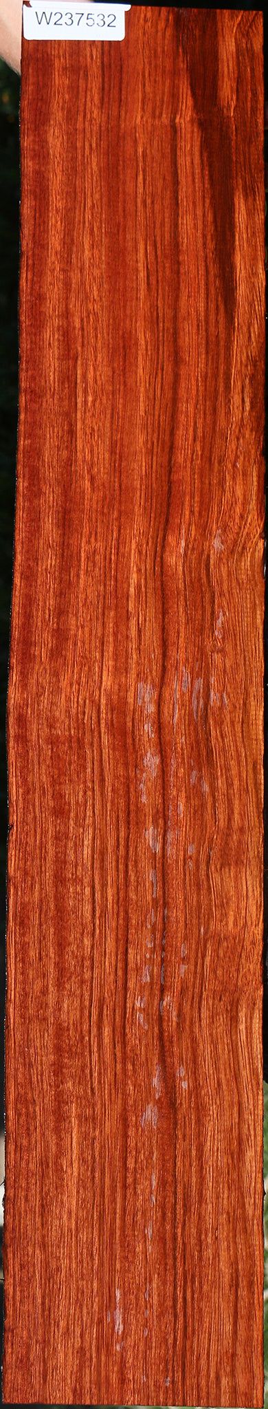 Jatoba Live Edge Lumber