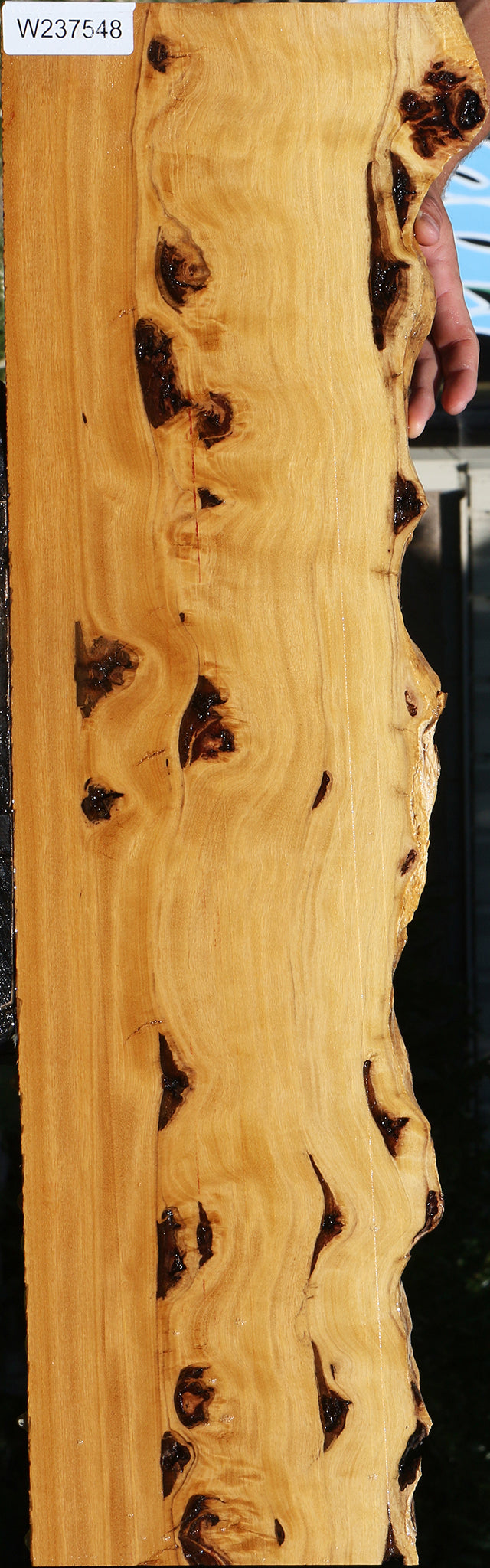 Piquiarana Live Edge Lumber