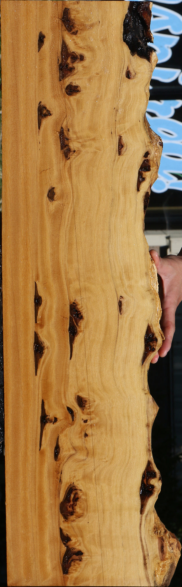 Piquiarana Live Edge Lumber