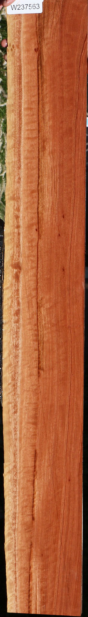 Extra Fancy Red Eucalyptus Live Edge Lumber
