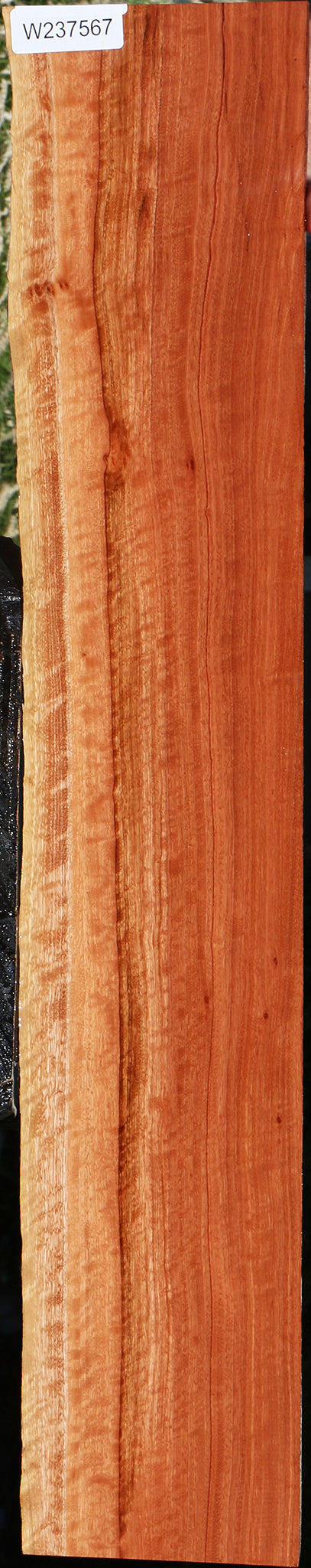 Extra Fancy Red Eucalyptus Live Edge Lumber