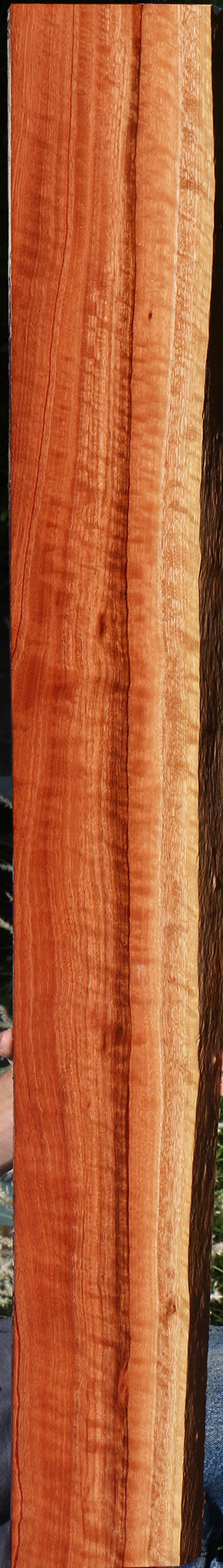 Extra Fancy Red Eucalyptus Live Edge Lumber