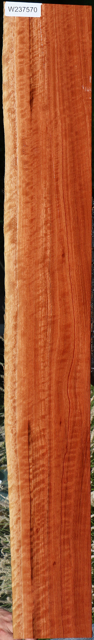 Extra Fancy Red Eucalyptus Live Edge Lumber