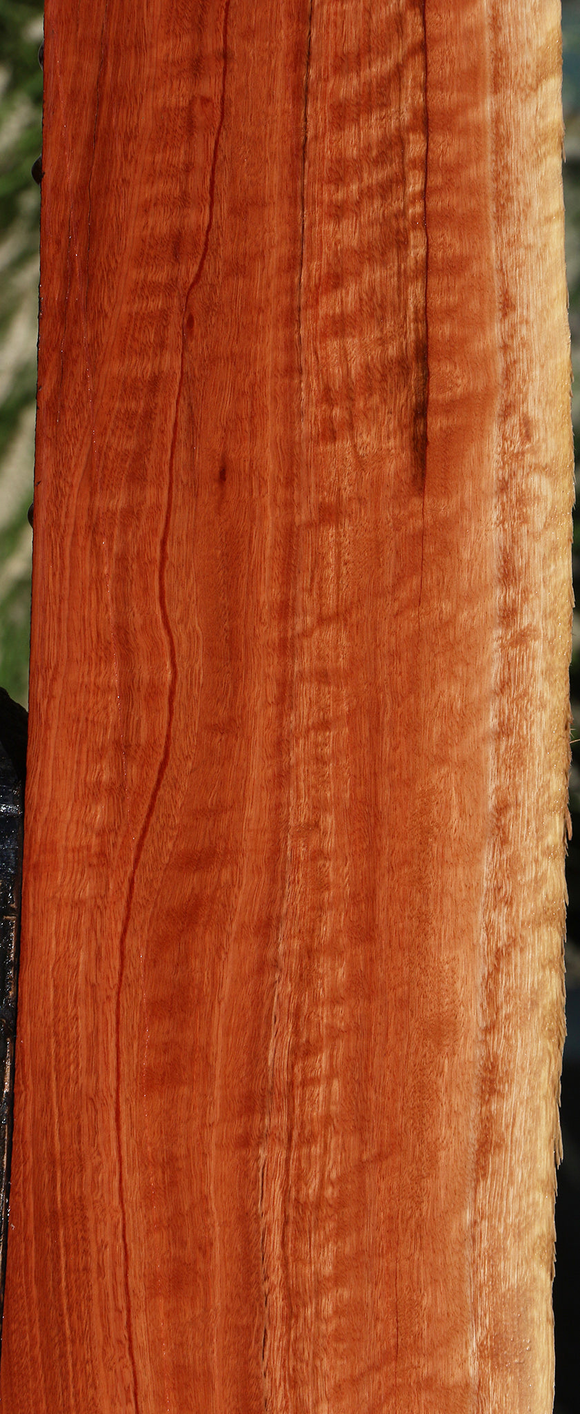 Extra Fancy Red Eucalyptus Live Edge Lumber