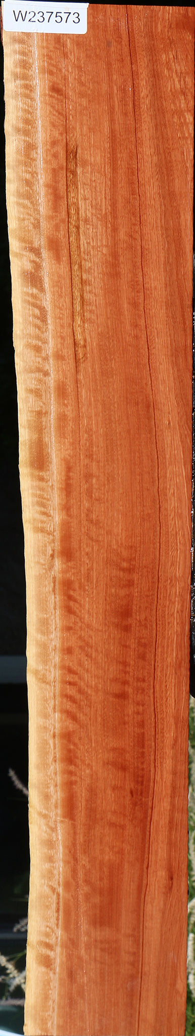 Extra Fancy Red Eucalyptus Live Edge Lumber