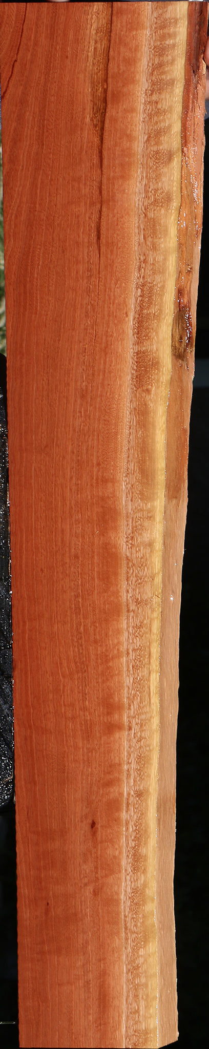 Extra Fancy Red Eucalyptus Live Edge Lumber